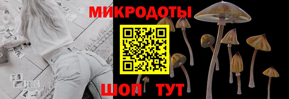 Галлюциногенные грибы MAGIC MUSHROOMS Джанкой
