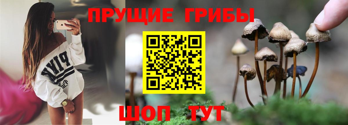 Джанкой  Галлюциногенные грибы Psilocybine cubensis  закладки  Псилоцибиновые грибы Psilocybe  Вход с VPN 